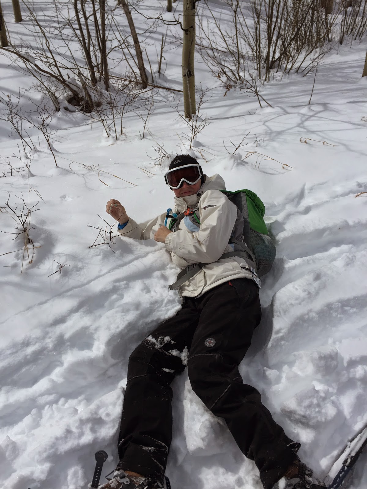 65764-buffalo2btrail2bgolden2bgate2bstate2bpark2b2