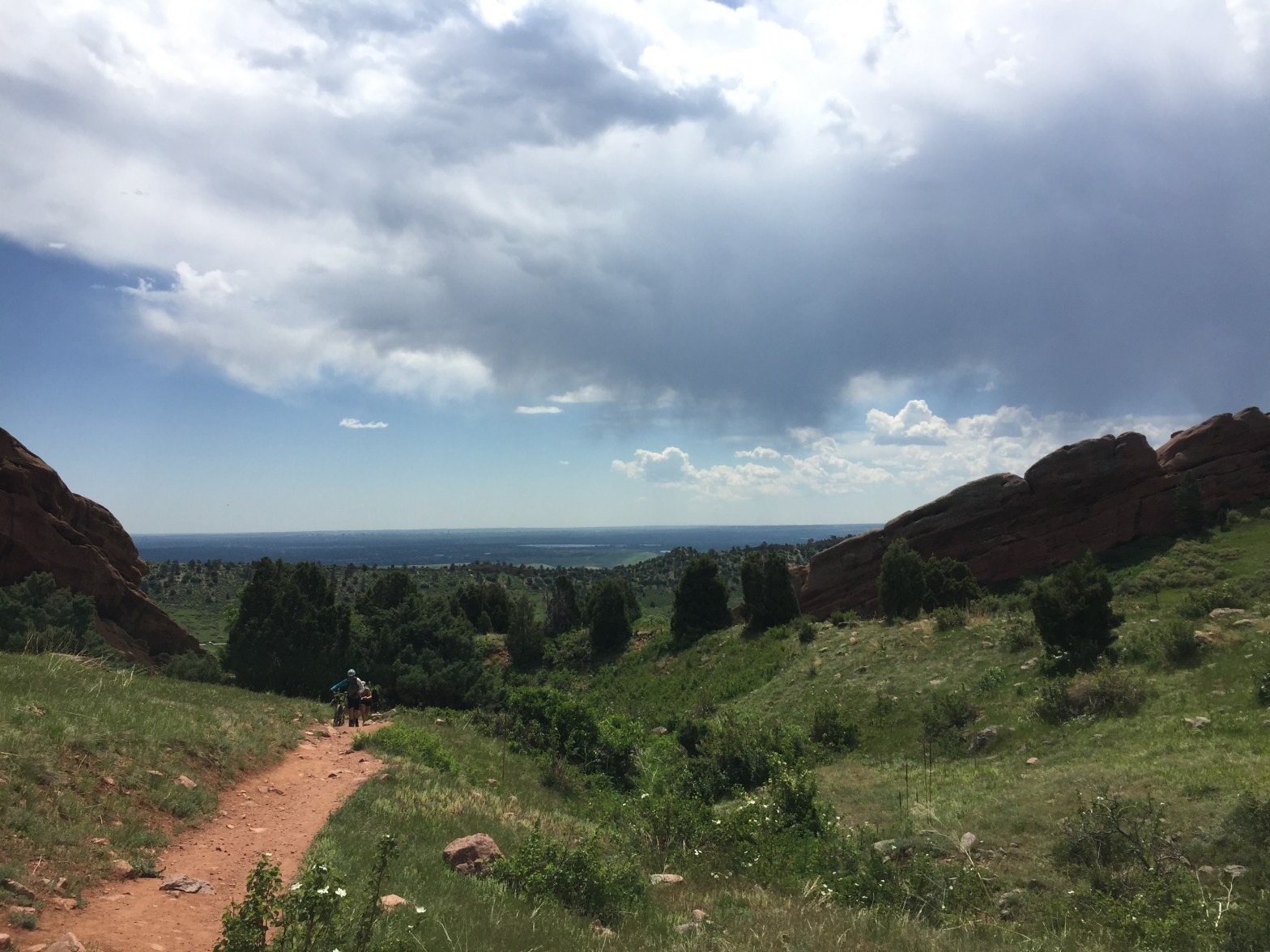 matthews winters park jefferson county colorado