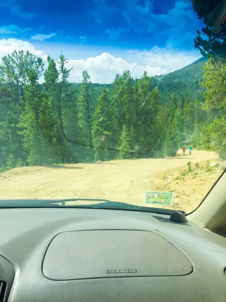 a wide smooth dirt road seen from the passenger dashboard of an SUV. the road is lined with evergreen trees on the let side and dirt on the right side.