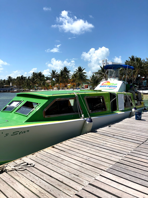 belize express water taxi on the dock in caye caulker belize. palm trees and bright blue sky in the background.