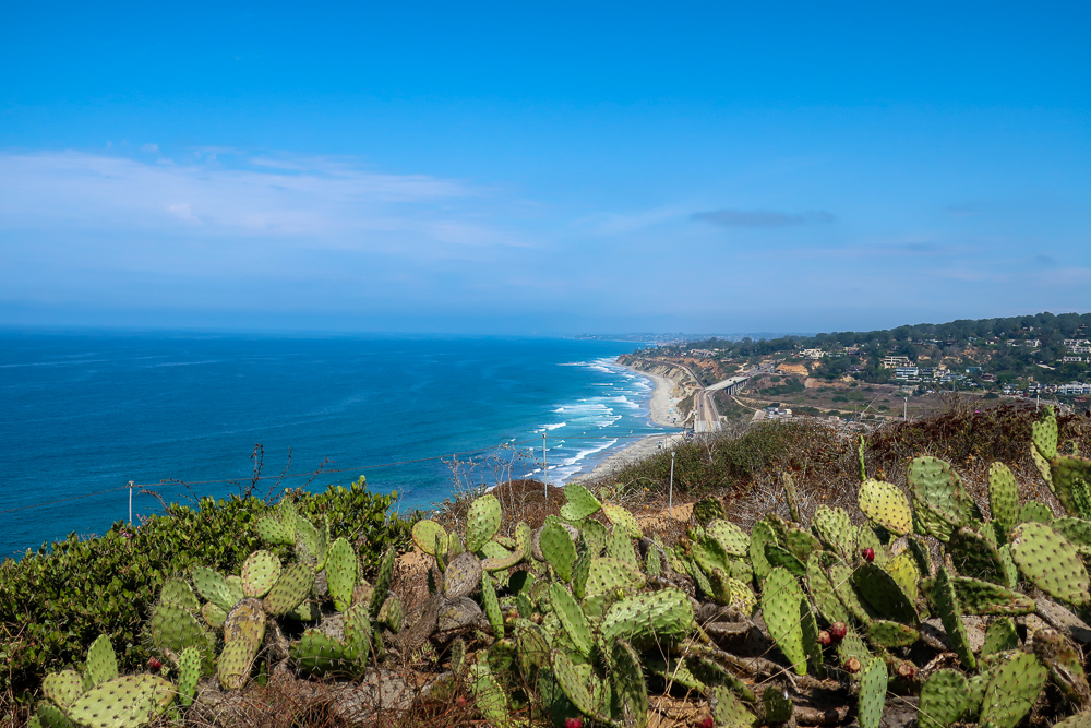 guy fleming trail torrey pines cliff views la jolla san diego hiking for beginners
