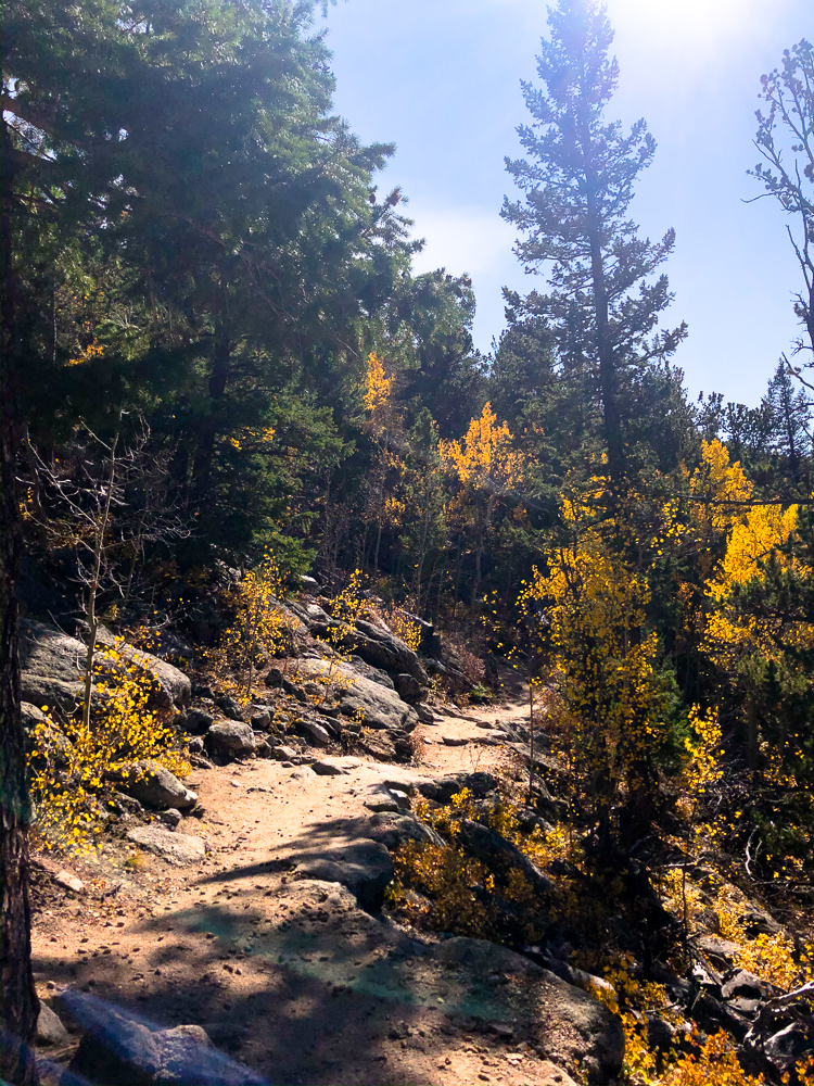 golden gate canyon beginner hiking leaf peeping raccoon trail