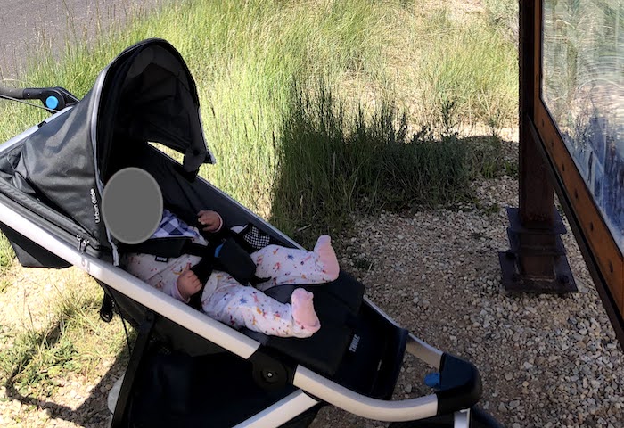 Thule Urban Glide running stroller parked in front of a trailhead sign on some gravel surrounded by grass. A seven month old baby is in the stroller in a patterned onesie.